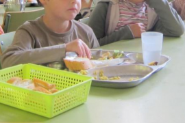 El Govern assegura no tenir cap evidència sobre que el peix panga sigui perjudicial 