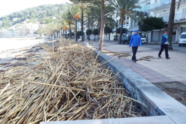 Queixes dels hotelers pel retard en la neteja de les platges del municipi