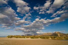 LIC de Na Borges (ZEPA).