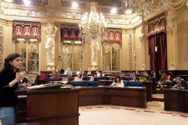 Margalida Capellà, diputada de MÉS per Mallorca.