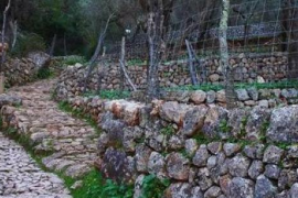 Cort se suma a la petició perquè la UNESCO declari la pedra en sec Patrimoni Immaterial