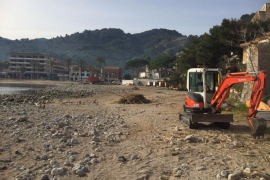 La platja d'en Repic ja ha quedat lliure de canyes