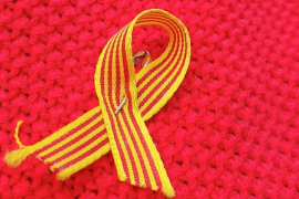 MÉS qualifica d'«inassumible» la moratòria de 2 anys per a l'acreditació de català en el personal de l'IB Salut