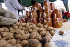 La producció d'ametla augmentarà un 10% durant la campanya 2015-2016