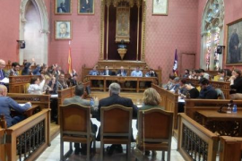 El Ple del Consell de Mallorca aprova la carrera professional