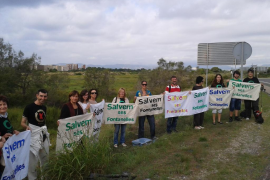 Salvem ses Fontanelles: «No és encara la notícia definitiva però cal celebrar-ho»
