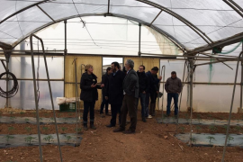 Conselleria Medi Ambient.