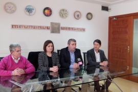 La consellera insular de Territori i Infraestructures, Mercedes Garrido.