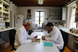 Dos biòlegs adscrits al projecte seleccionen llavors al laboratori.