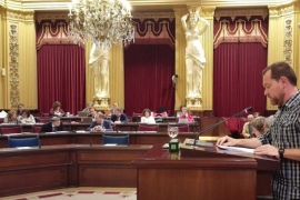 El portaveu de MÉS per Mallorca, David Abril.