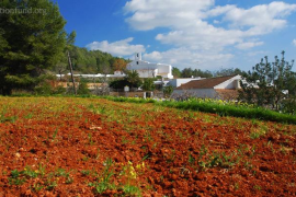 El Banc de Terres d’Eivissa no atura de créixer.