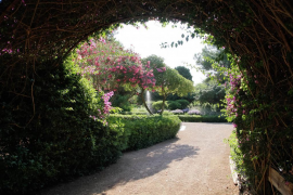 Els jardins de Marivent obren les portes al públic aquest dimarts