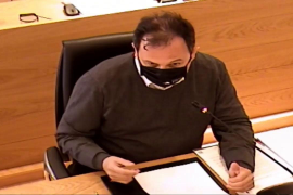 Ple ordinari 25/11/2020