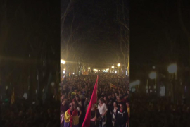 L'estaca a la manifestació en suport al referèndum a Palma