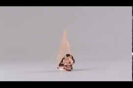 Spot electoral del PSC