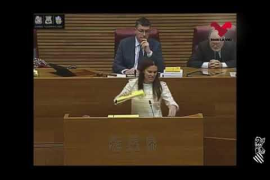 El PP valencià reconeix la unitat de la llengua en les Corts per primera vegada