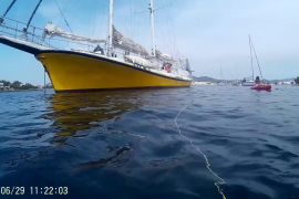 Àncora veler Totem amb alga arrabassada (29-06-18)