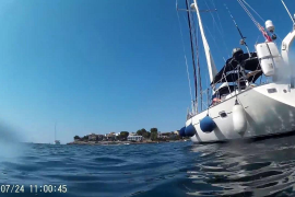 Miss Polly - Douglas (24-07-18) [Complet]