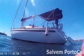 Veler IRIA arrabassant posidònia a PortoColom (16-05-19)