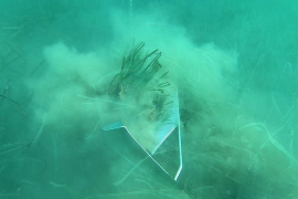 Resum de l'estiu 2020. Àncores a la posidònia de Portocolom. Versió llarga